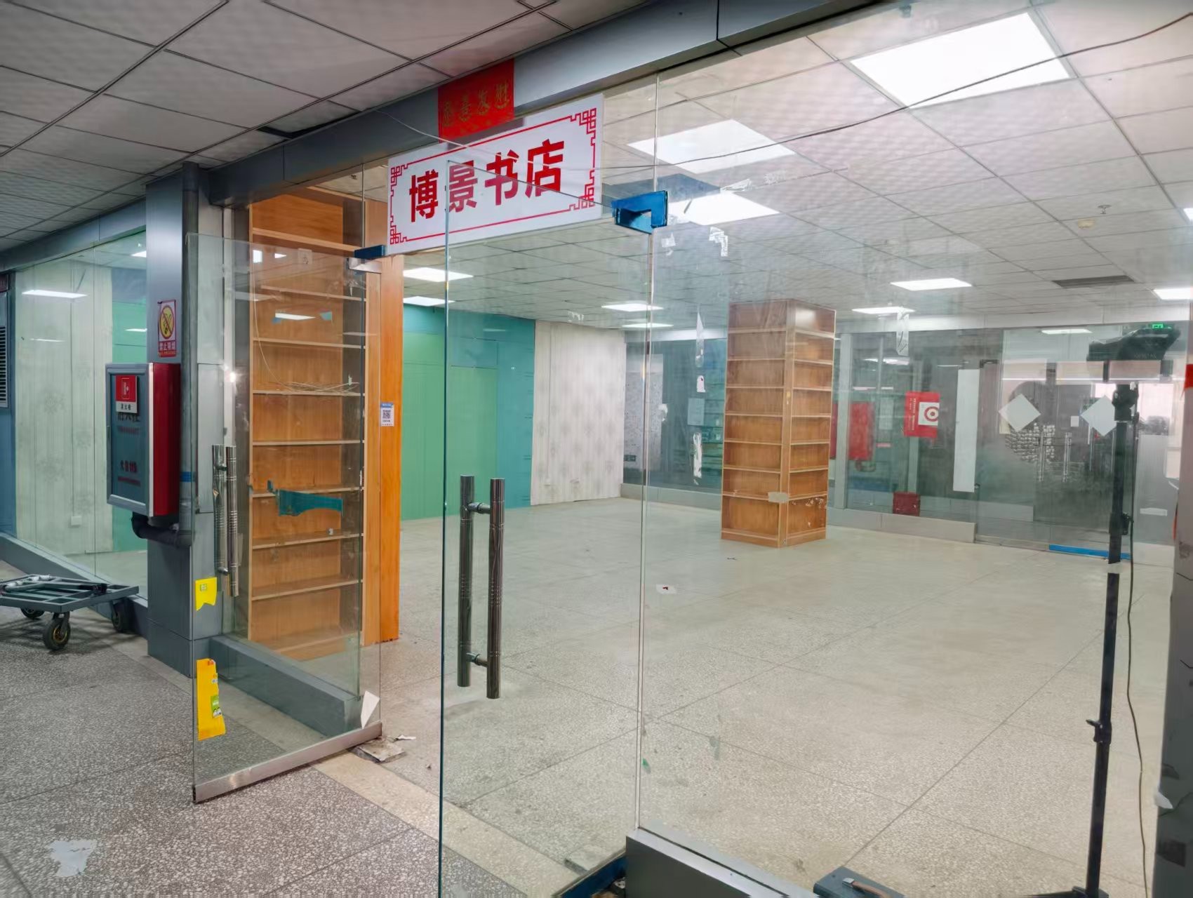 西环路AI浪潮已至，优质企业抢先布局